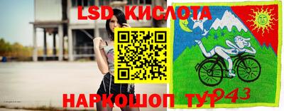 молекула духа Донской