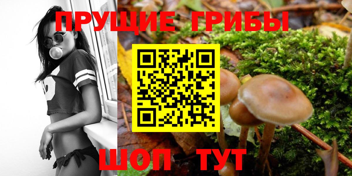 Псилоцибиновые грибы ЛСД  Вход с VPN  Курчатов 